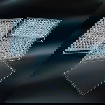 Nắp đĩa lấy mẫu 96 giếng Aptaca 86x128mm