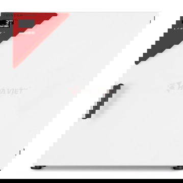 Tủ ấm đối lưu tự nhiên BINDER BD115