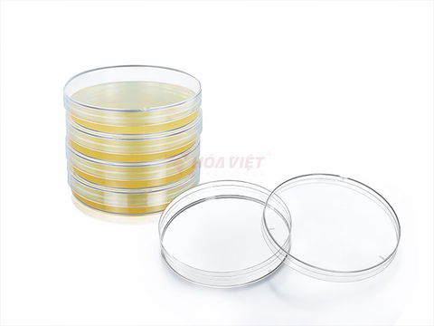Đĩa petri Mida 90x15mm tiệt trùng