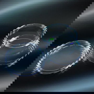 Đĩa petri nhựa Aptaca 90mm tiệt trùng có 3 gờ thông khí