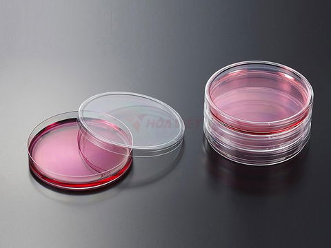Đĩa petri nhựa Jet biofil 90mm loại dày, tiệt trùng