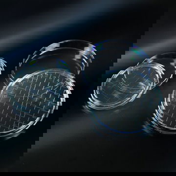 Đĩa petri nhựa Aptaca 55mm tiệt trùng kẻ sọc