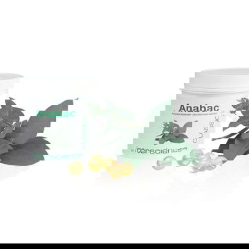 Viên khử mùi Anabac Classic Interscience 100 viên/hộp