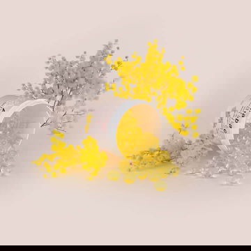 Viên khử mùi Anabac Natural Mimosa Interscience 50 viên/hộp