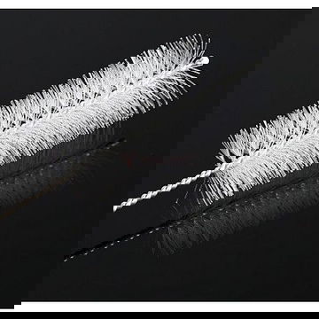 Chổi cước rửa ống nghiệm trắng 20cm