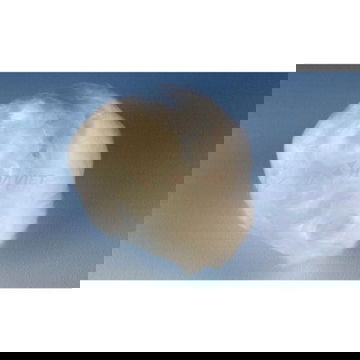 Bông thủy tinh Assistent 1kg