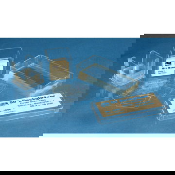 Phiến kính thủy tinh Assistent 20mm x 20mm